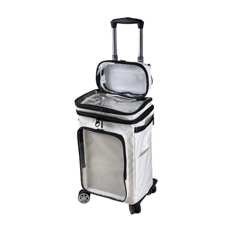 Spinner Wheel Rolling Suitcase 20 Inch - Transparentes Cartoon-Gepäck im Harajuku-Stil, 50,8 cm,