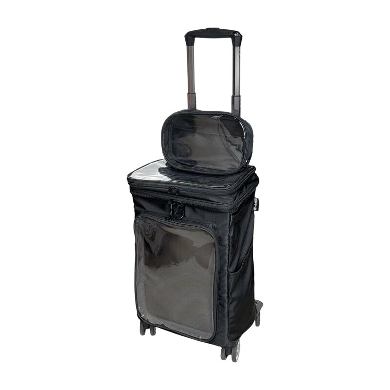 Transparentes Cartoon-Gepäck i – Spinner Wheel Rolling Suitcase 20 Inch Bewertung und Preis